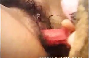 Tinh ranh của chó thật tuyệt vời